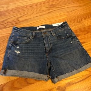 Ann Taylor LOFT distressed shorts